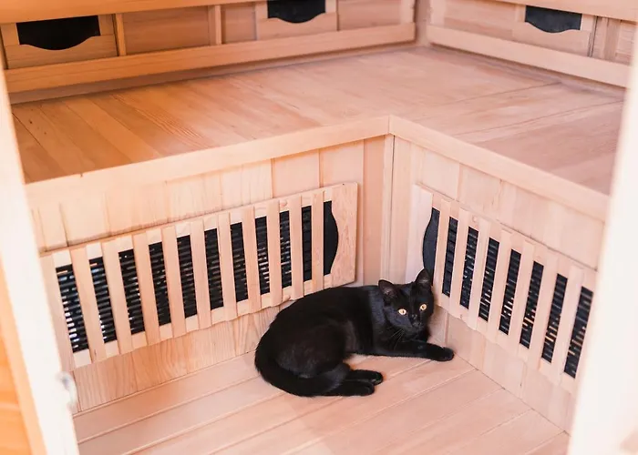 Bed & Breakfast Pod Chmielarzem Wojcieszów